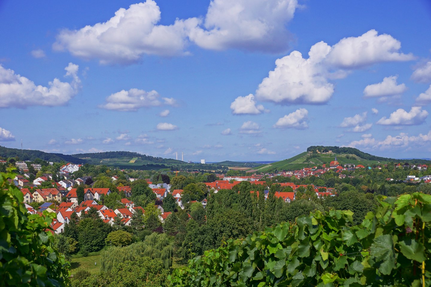 Blick auf Weinsberg