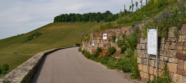 Wein- und Rosenrundweg