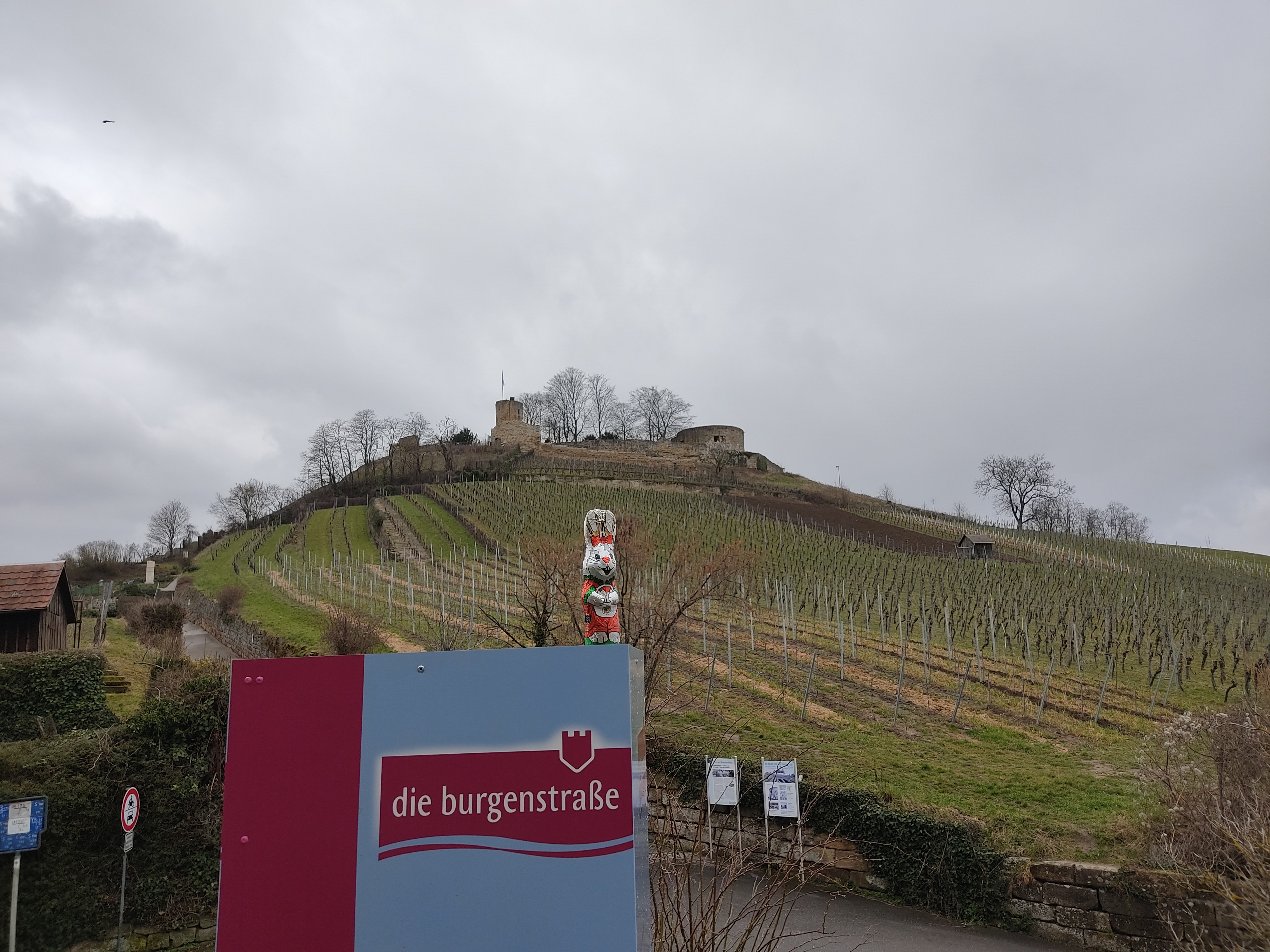 "Faire Osterhasen unterwegs in Weinsberg – gegen ausbeuterische Kinderarbeit!" "Faire Osterhasen unterwegs in Weinsberg – gegen ausbeuterische Kinderarbeit!"