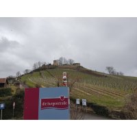 "Faire Osterhasen unterwegs in Weinsberg – gegen ausbeuterische Kinderarbeit!"
