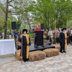 Einweihung des Lindenplatzes Wir befinden uns auf dem neu angelegten Lindenplatz. Im rechten Hintergrund des Bildes Stehen die Häuser der Straße „Bleich“ und erstrechen sich bis in die rechte Hälfte des Bildes. Vor ihnen liegt der ebenfalls neu angelegte Spielplatz am Lindenplatz. Auf dem Spielplatz spielen Kinder, ihre Eltern stehen daneben und passen auf die Kinder auf. Umringt ist der Spielplatz von Bäumen und Sträuchern. Vor dem Spielplatz, zentral im Vordergrund des Bildest ist ein Podest aufgebaut. Das Podest ist von Heuballen umgeben. Dor dem Podest stehen links und rechts zwei Wachen. Sie haben mittelalterliche Gewänder an. Auf der linken Seite aus schwarzem und auf der rechten Seite aus gelbem Stoff. In der äußeren Hand halten sie eine auf den Boden gestützte Hellebarde. Auf dem Podest steht Frau Bürgermeisterin Hannemann. Sie hat ein Mikrofon in der Hand und hält eine Rede. Links neben ihr unter einem weißen Tuch steht ein verhüllter, massiver Steinquader. Rechts von der Bühne steht eine Menge an Zuhörern in einem Bogen. Zwischen den Zuhörern stehen weitere verkleidete Darsteller in mittelalterlichen Gewändern und mit Lanzen und Rüstungen bewaffnet.