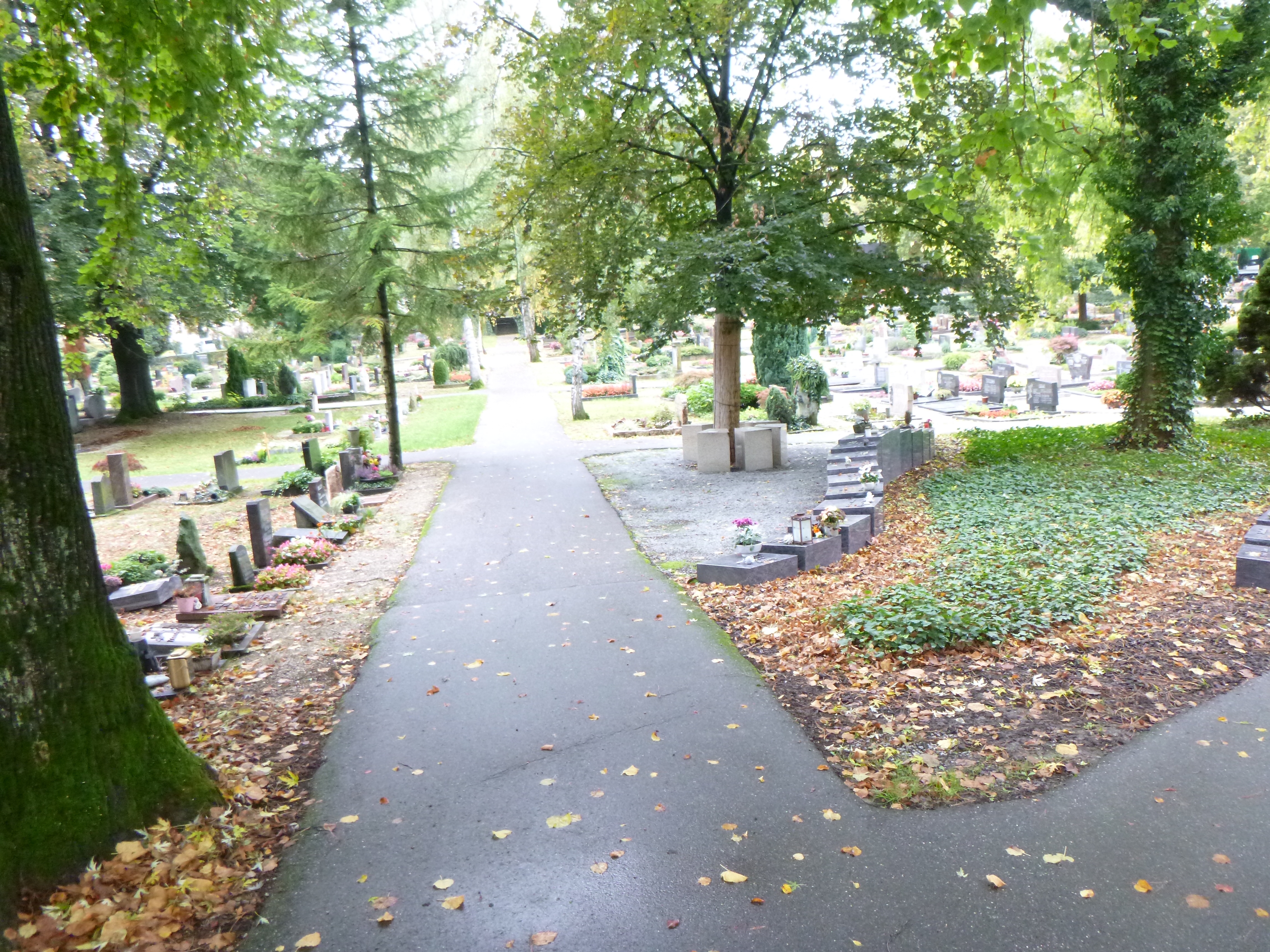 Weg des Weinsberger Friedhofs