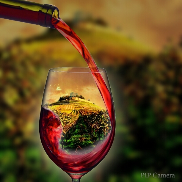 Rotwein wird in ein Glas eingeschenkt